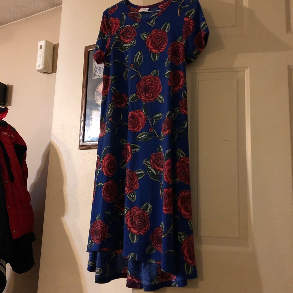 LulaRoe Carly size XS